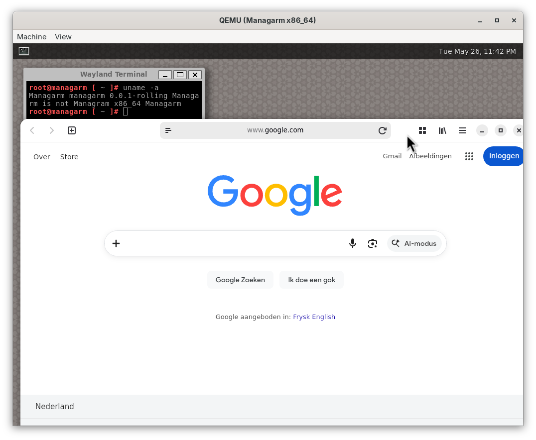 Epiphany showing Google